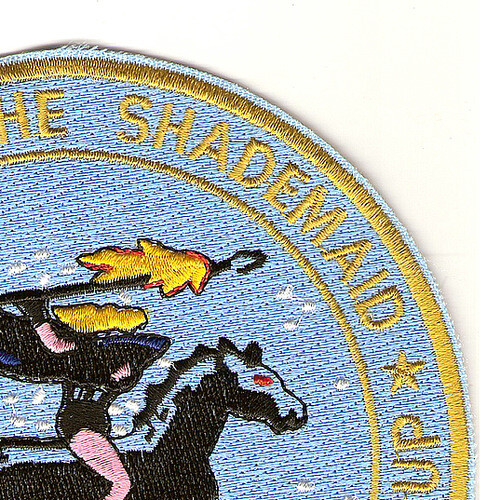 CVLG (N) 41 Night Fighter Group WWII Patch