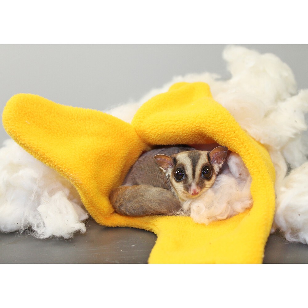 All-Natural Nesting Material 1.5 oz. - Sugar Glider, Squirrel, Rabbit, Hamster