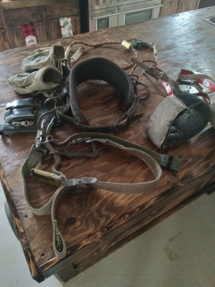 Buckingham Lineman Climbing Gear with Bashlin Hooks