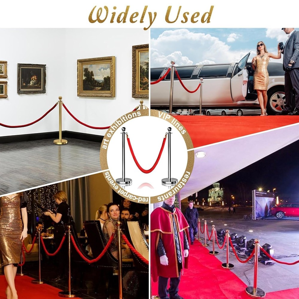 Stylish Party Crowd Control Stanchions
