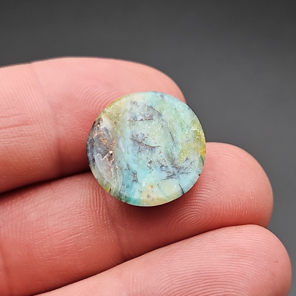 Indonesian Blue Opalized Petrified Wood Cabochon