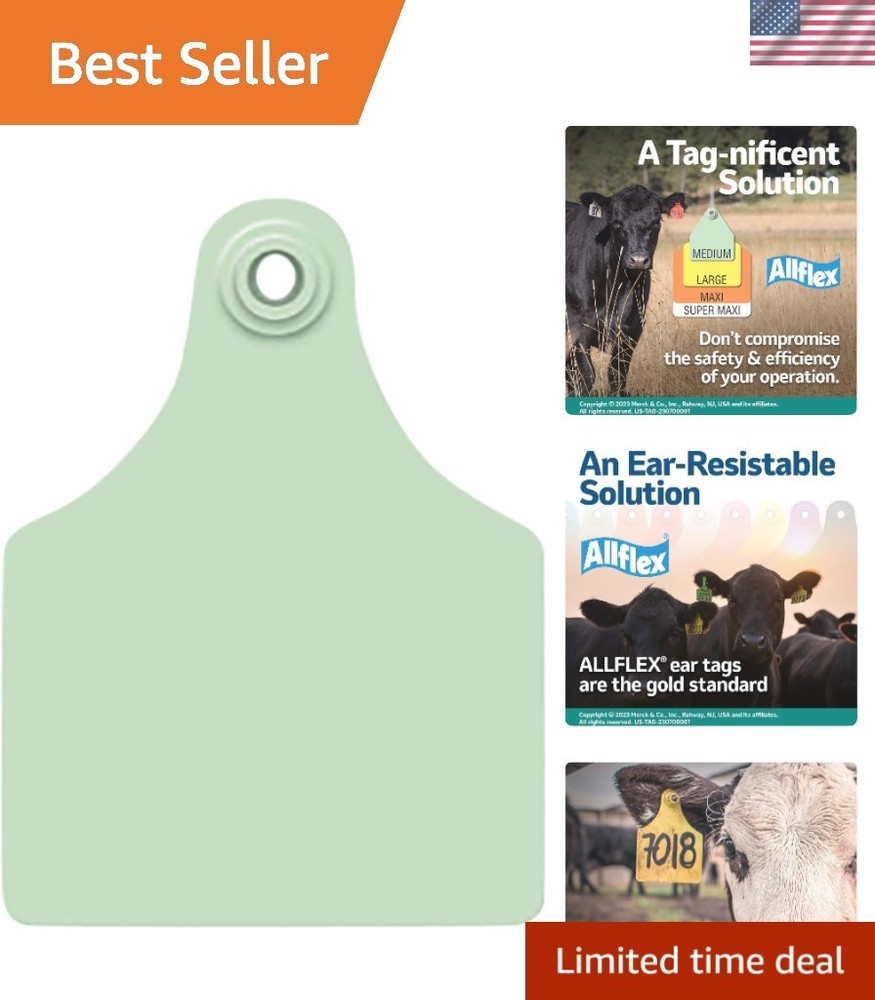 Maxi GLBL TAG GRN BLNK 25'S