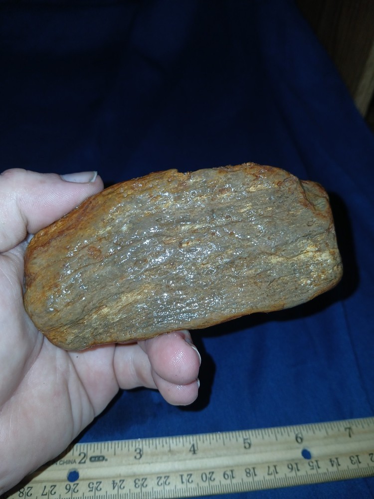 9.7 oz Texas Petrified Wood