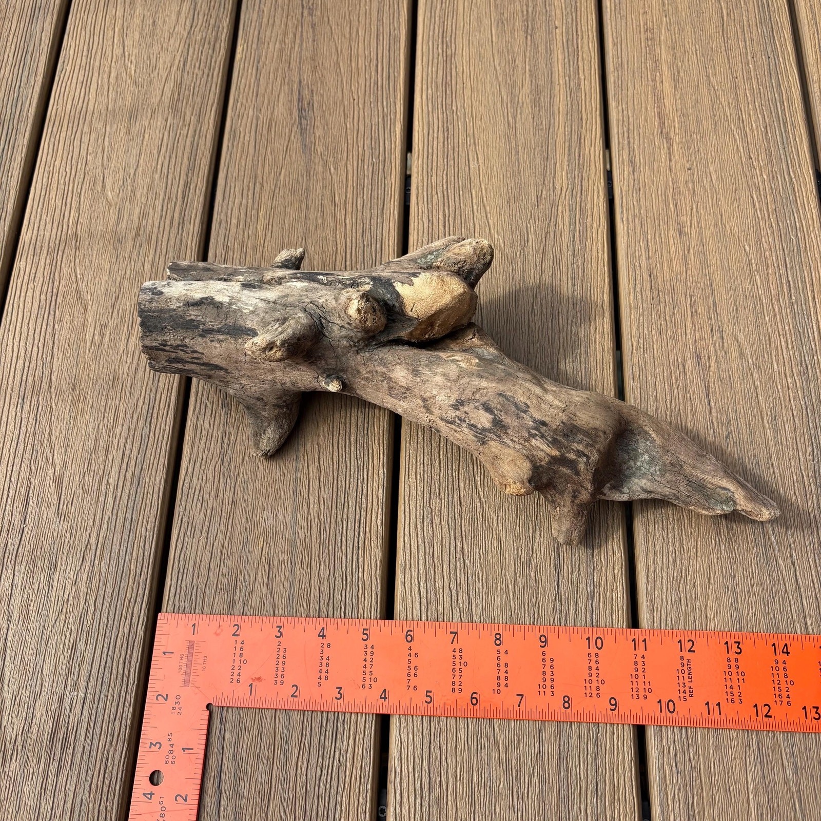 Knobby Tree Shaped Driftwood 14x5x5 – Sculptural Natural Wood Decor