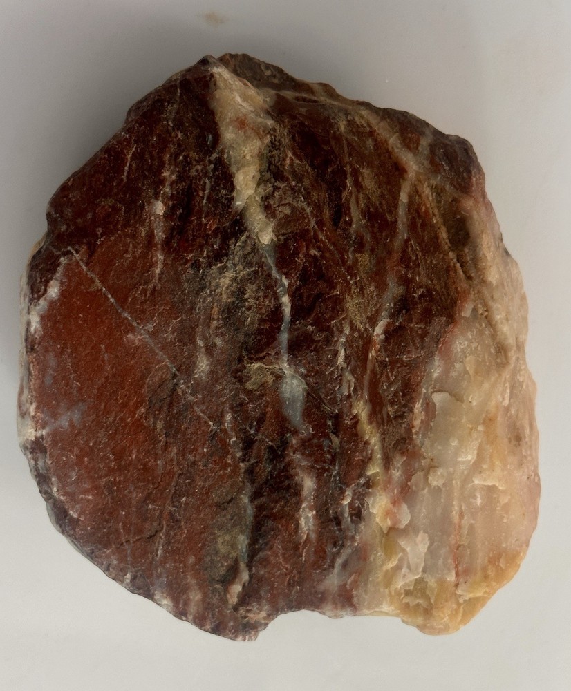 Petrified Steak Dinner