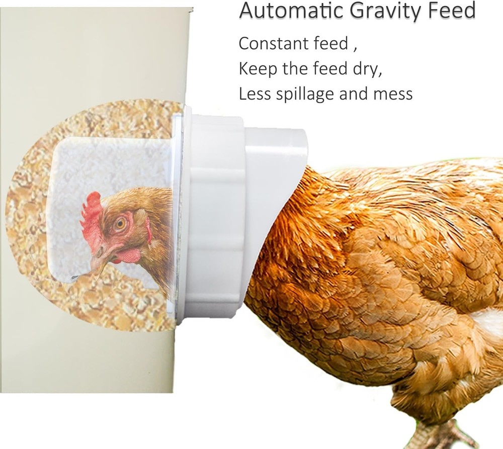 5-Gallon Gravity Feeder Kit for Chickens – Rainproof & Mess-Free Solution
