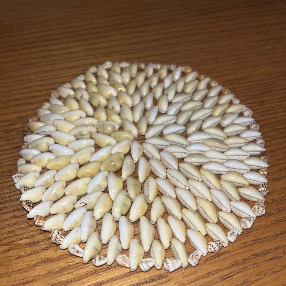 pooka shell large coaster beach decor