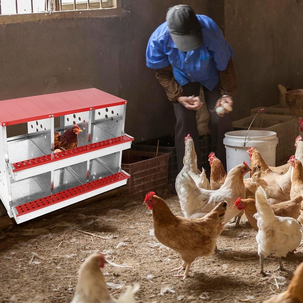 6 Compartment Nesting Boxes for Chickens,Galvanized Steel Chicken Laying Boxes