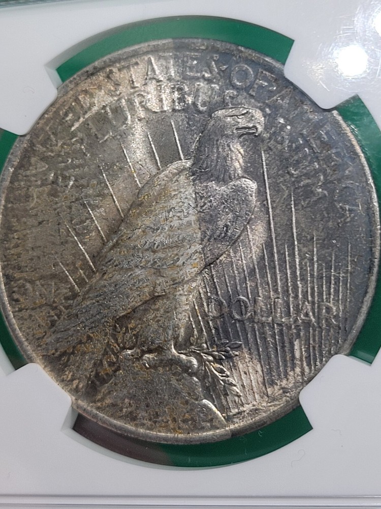 1923 $1 Peace Dollar NGC MS63 Toned