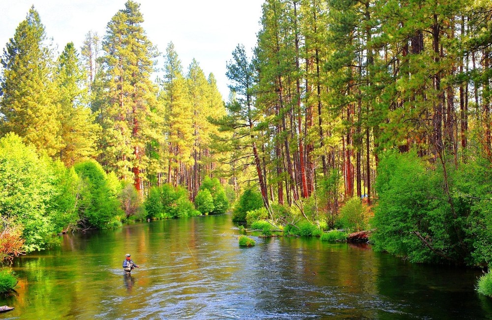 3 Pack H & L Variant Classic Dry Flies Hook Size 16