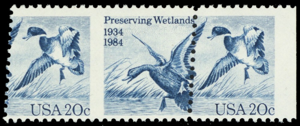 2092, Mint NH 20¢ Wetlands Ducks - Margin Copy Error * Stuart Katz