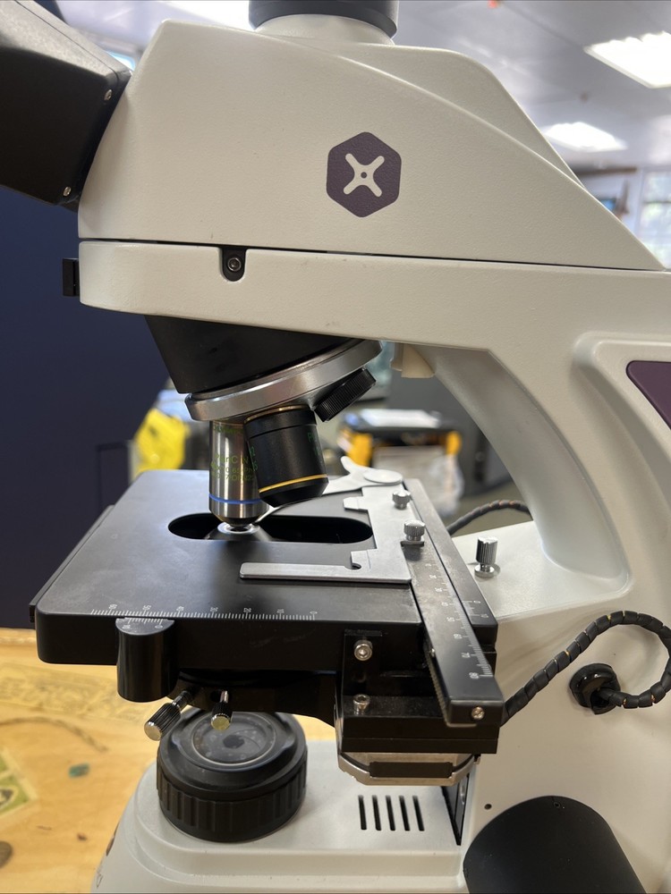 X Rapid Group Biological Microscope Model x_B8C6