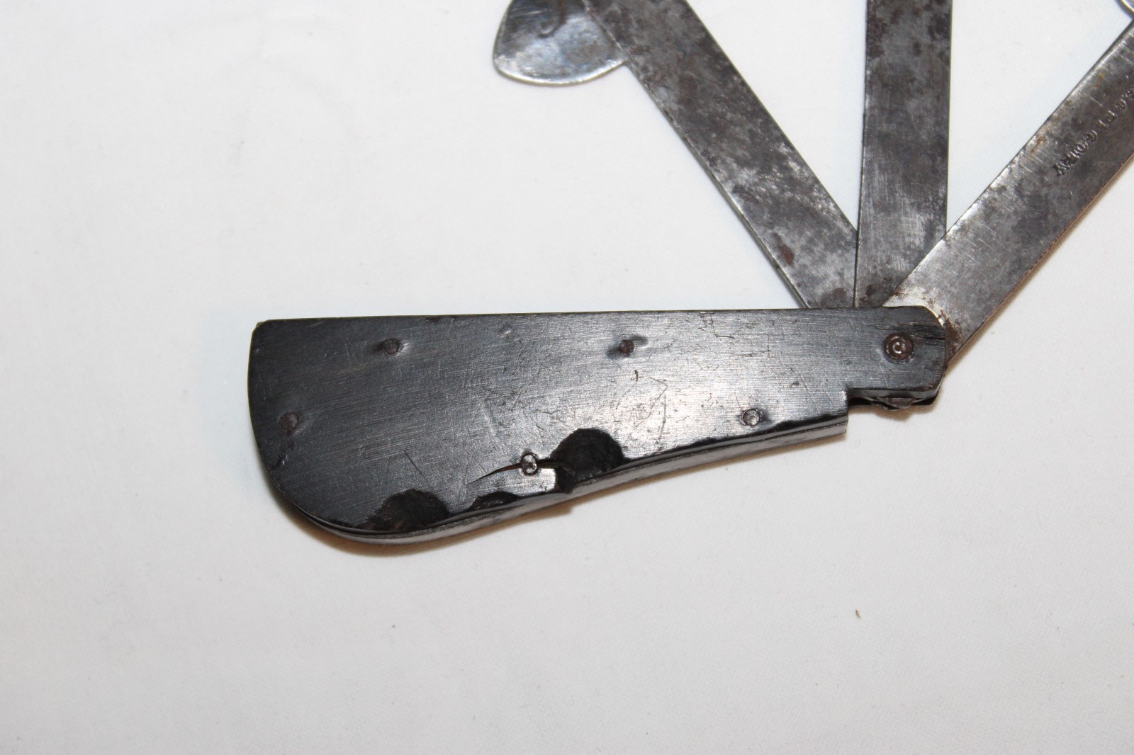 Antique 3 Blade Blood Letting Fleam Tool Marked G. Gregory