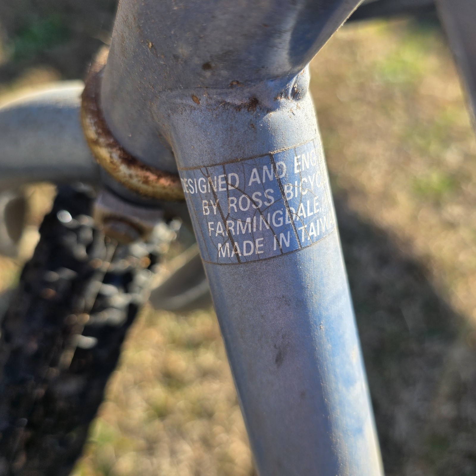 vintage Ross Beach Commander cruser bike