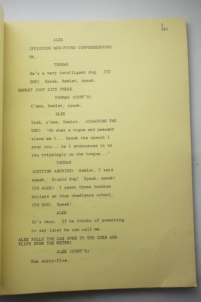 Taxi Tv Script Bobby's Acting career