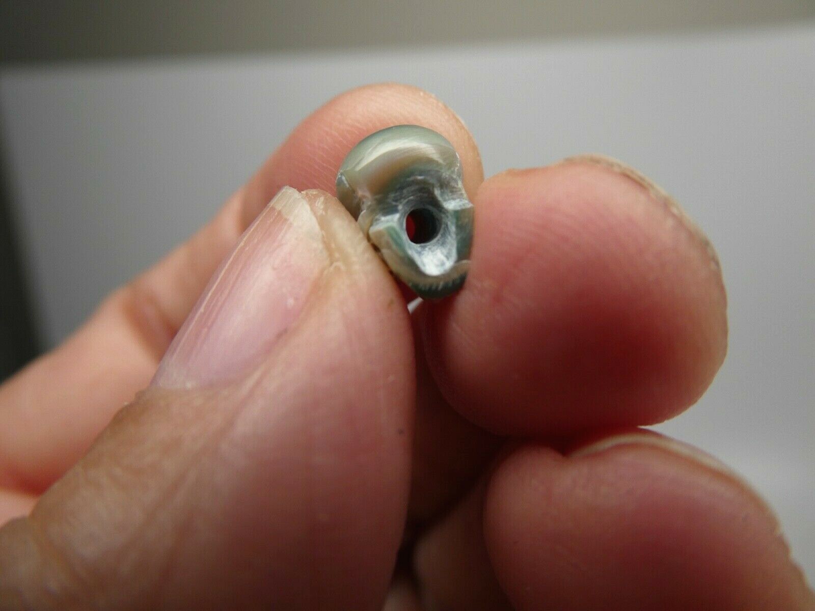 Skull Bead Rare Intricate Detail Hand Carved Blue Genuine Pearl Large Hole Bead