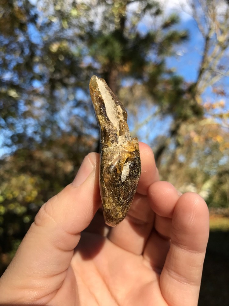 Baltic Amber
