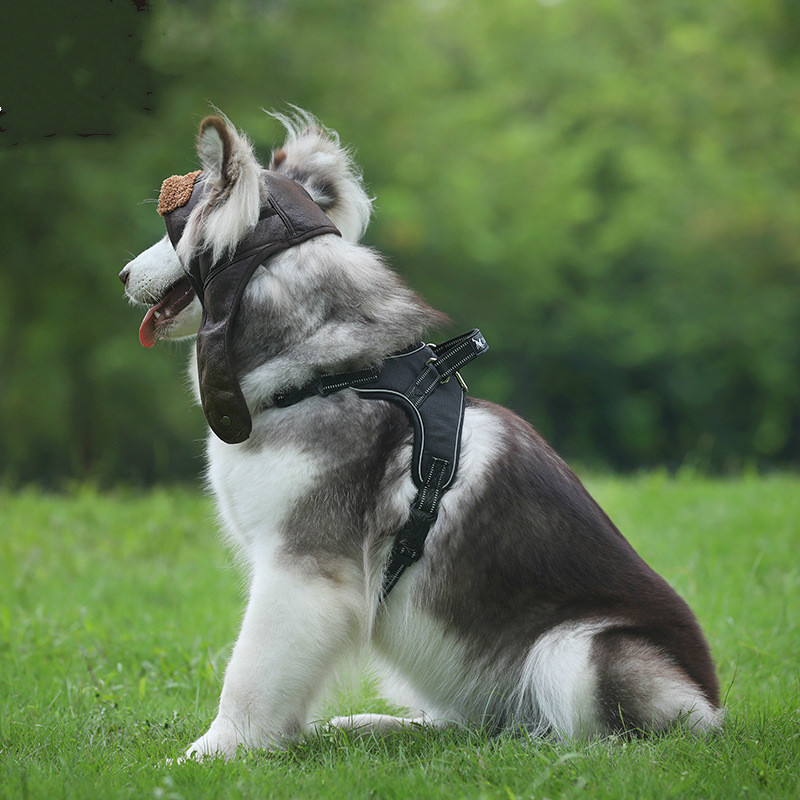 Pet Dog Pilot Hat Puppy Cute Aviator Cap Windproof Spring Autumn Style Costume