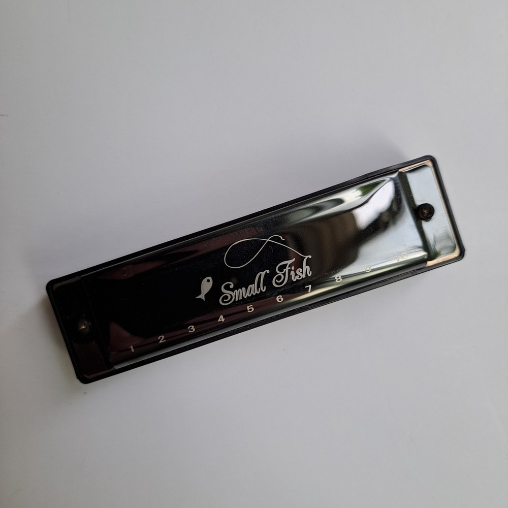 Small Fish 10‑Hole Diatonic Harmonica – Beginner Model w/ Box