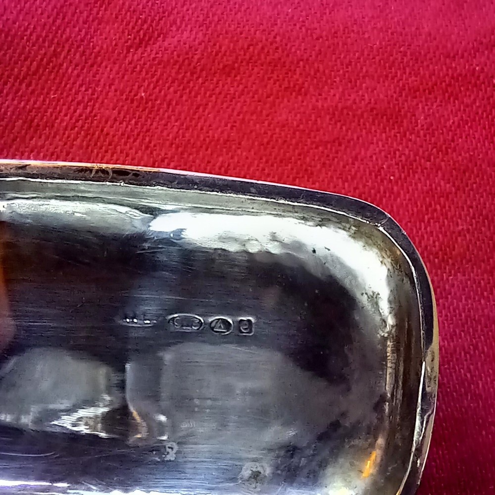 Superbe Niello Sterling Silver Double Sovereign Case