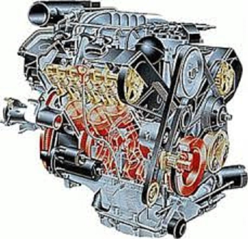 SCHAEFFER #711 SynShield® OTR Plus Engine Oil 10w30 1-Gallon