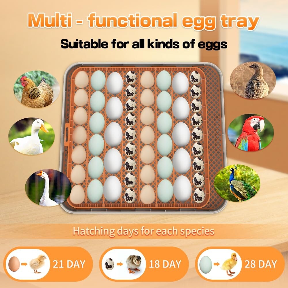 56 Egg Incubator with Automatic Egg Turning Egg Hatching Temp & Humidity Control