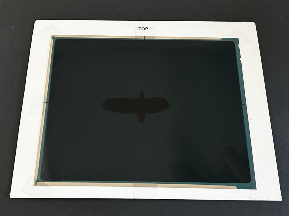 1982 NASA KSC Nature Bald Eagle in Flight Presentation Transparency-577