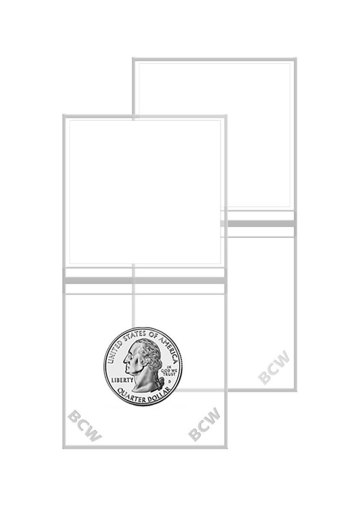 1000 BCW 2x2 Double Pocket Vinyl Flip