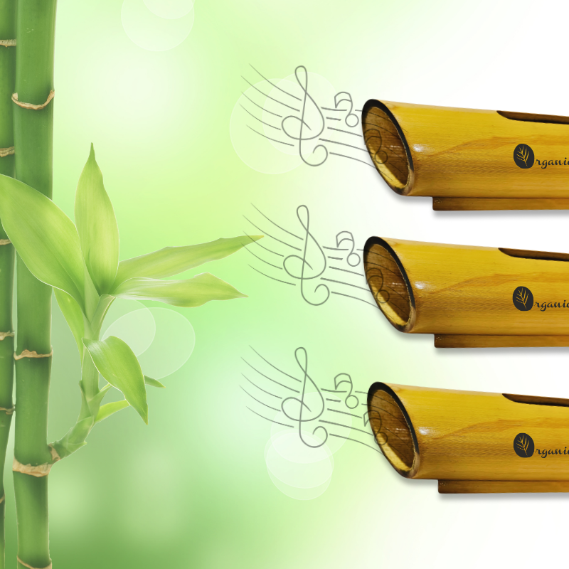 Natural Bamboo Amplifier Speaker