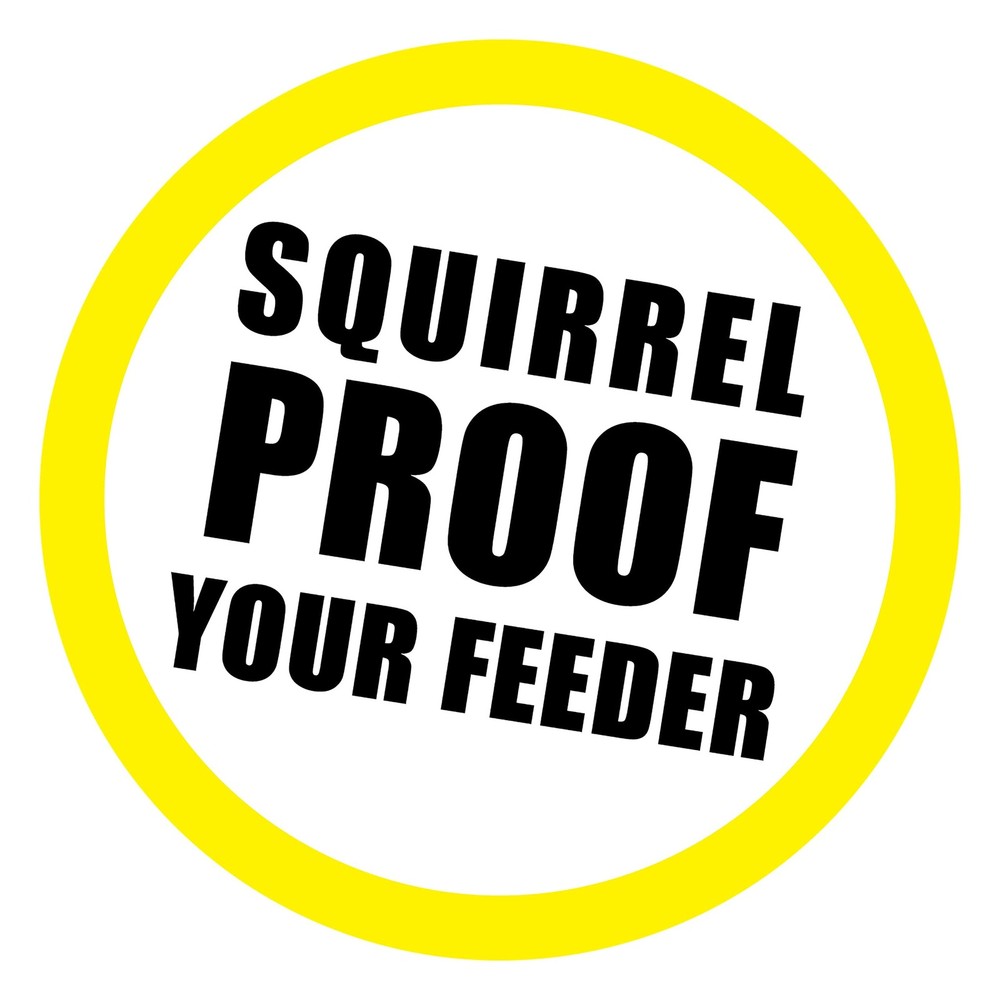 Scram, Squirrel by , Squirrel-Proof Bird Feeder Accessory that Guards Bird Se...