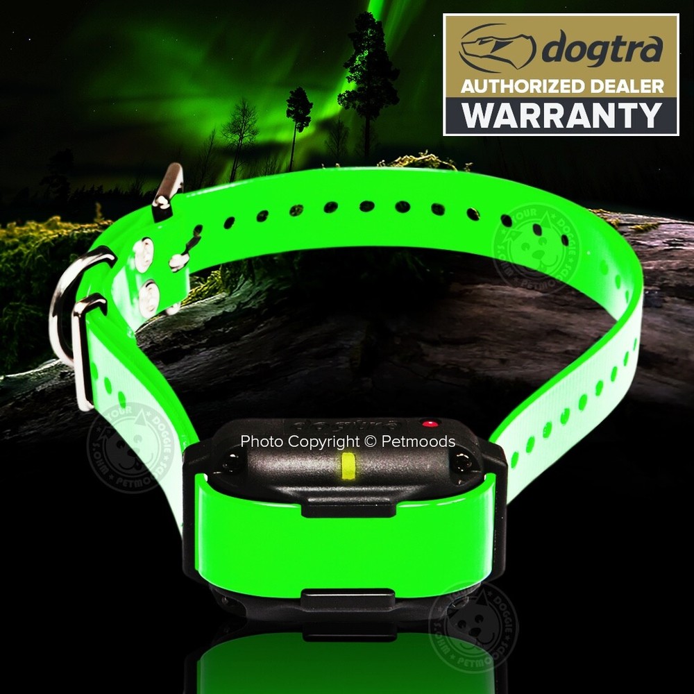Dogtra Edge RT Dog Collar Receiver Green Strap