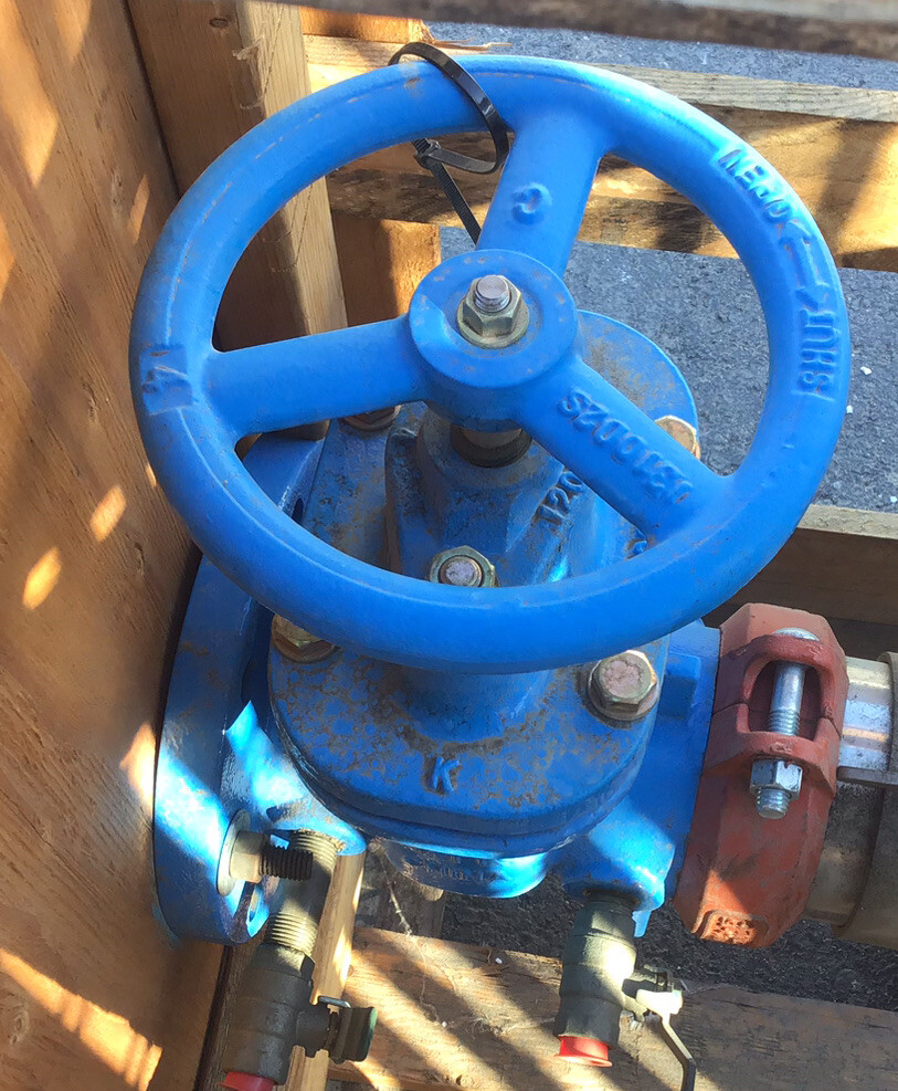 Watts Double Check Valve Assembly 757-DNRS 4 Backflow Preventer