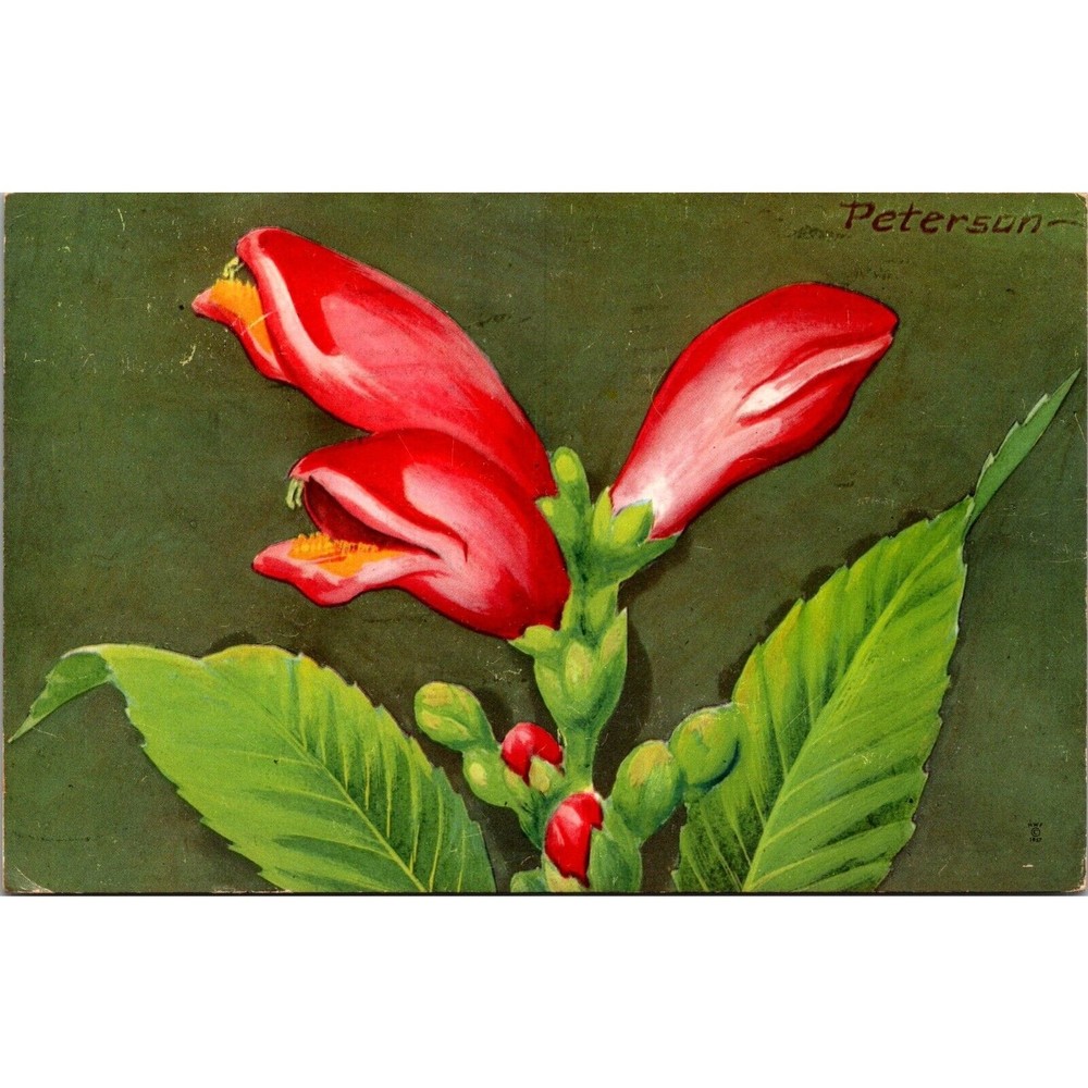 Red Turtlehead Flower Postcard PC18