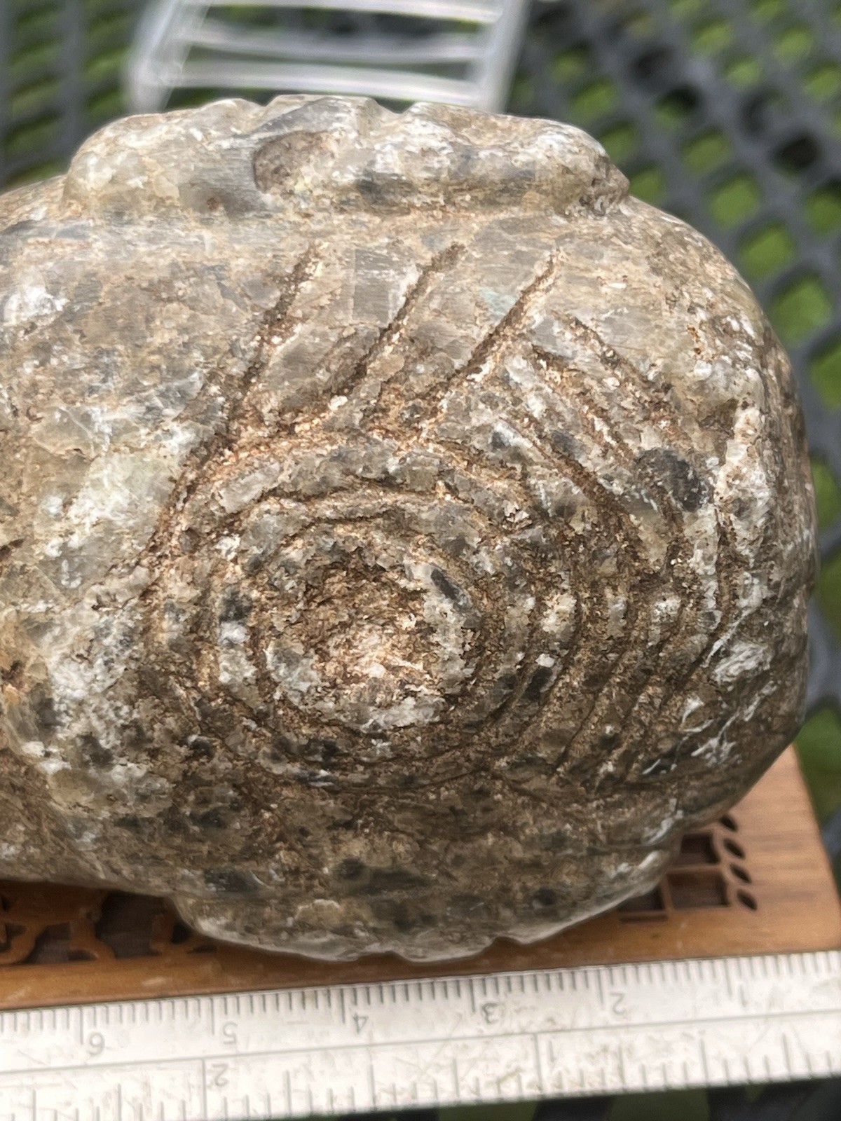 Big Taino Stone Tool Rare PreColumbian Ancient Artifact Arawak Caribe Mayan