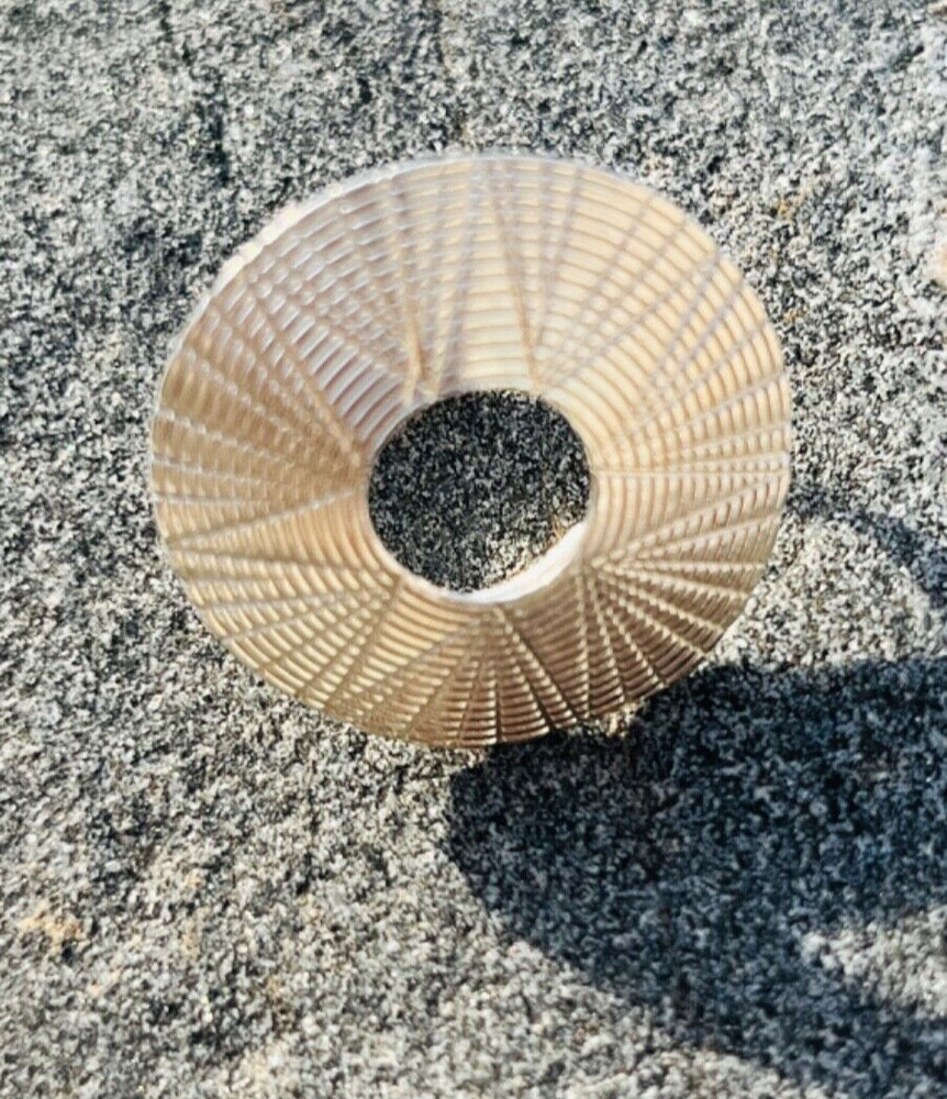 Handmade Ring Sterling Silver 925 Free Size