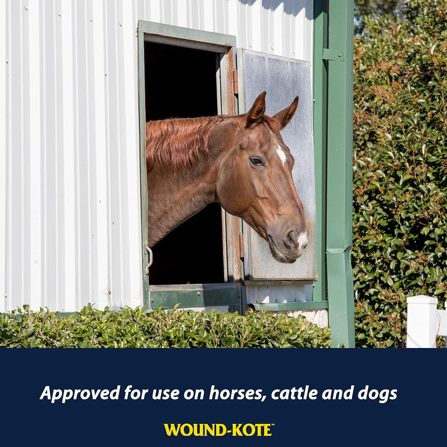 Wound-Kote Blue Lotion Spray Horse Wound Care for Use on Horses and Dogs