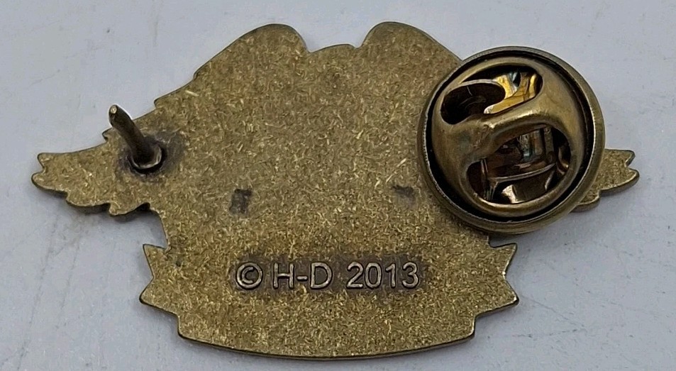 HOG Harley Davidson Owners Group Membership Eagle Patch And Matching Pin