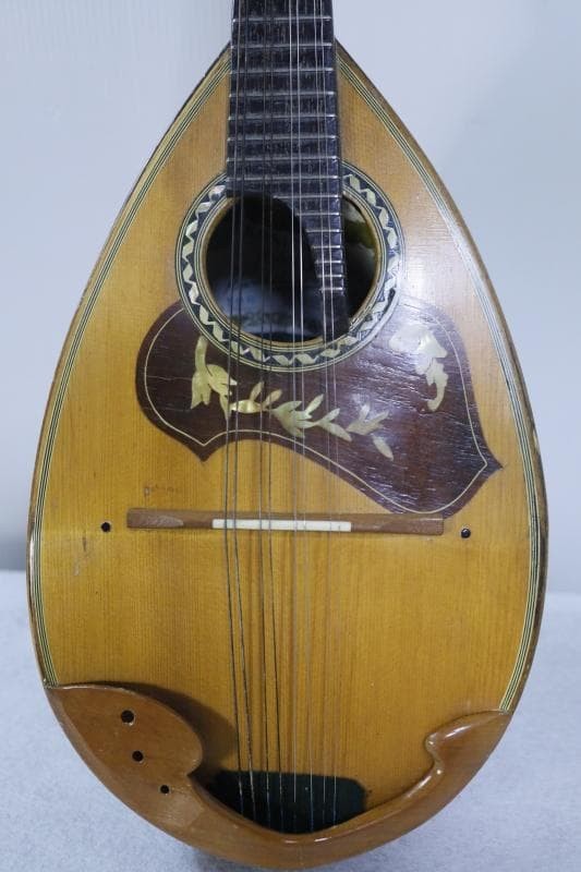 ◆Kunishima Mandolin No.106 ◆With hard case
