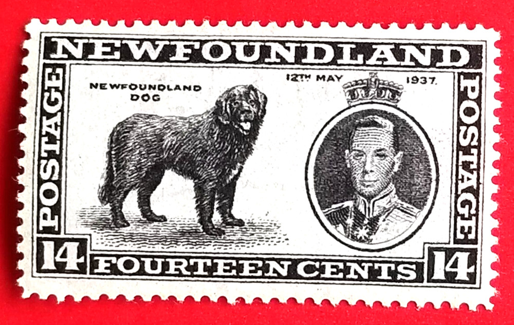 Canada Newfoundland #238 Long Coronation Issue Mint