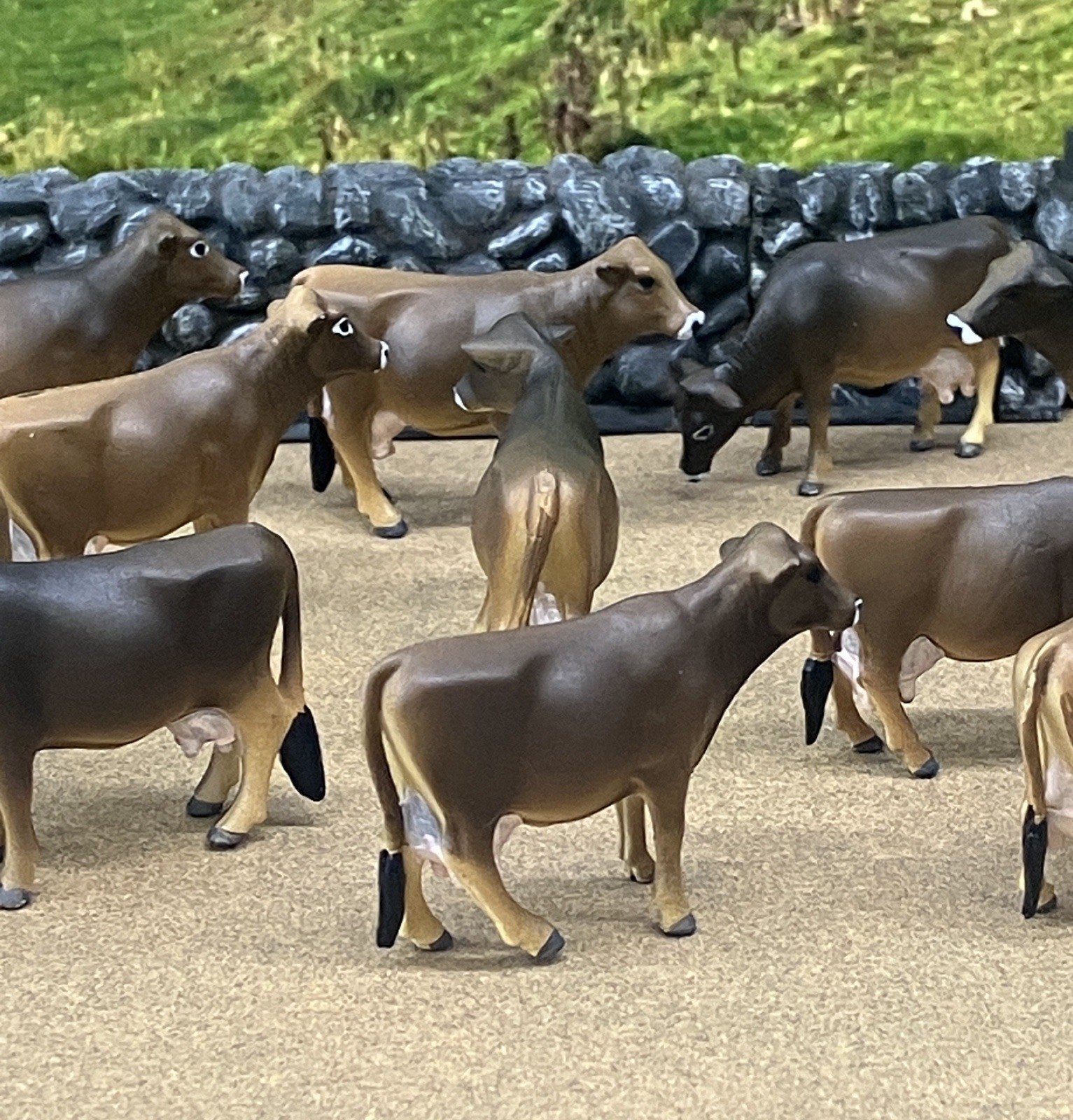 Custom CM Ertl 1:64 Lot Of 12 Jersey/Brown Swiss Milk Cows Cattle Farm Scene