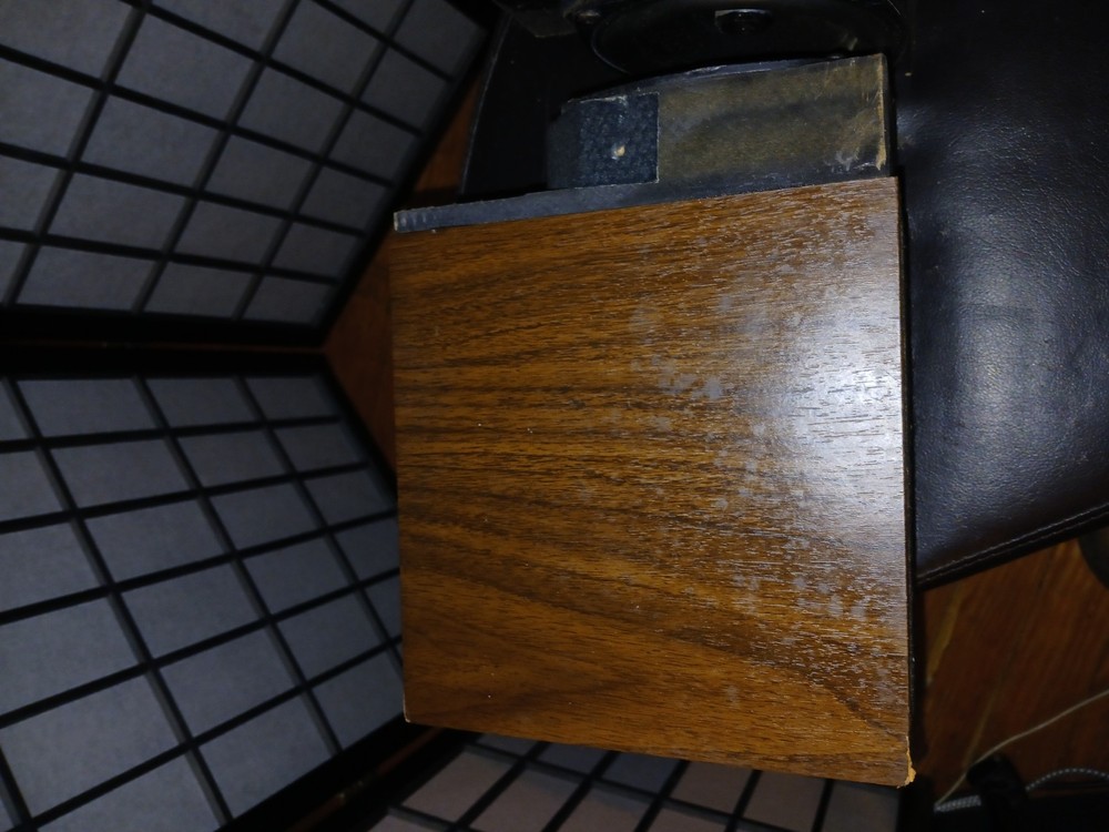 Vintage Pyramid Metronome Model 7 speakers by Dick Sequerra