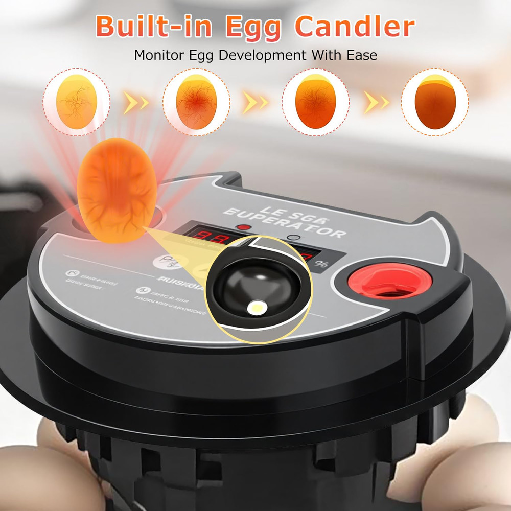12 Egg Incubators for Hatching Eggs Automatic Egg Incubator with Temperature Con