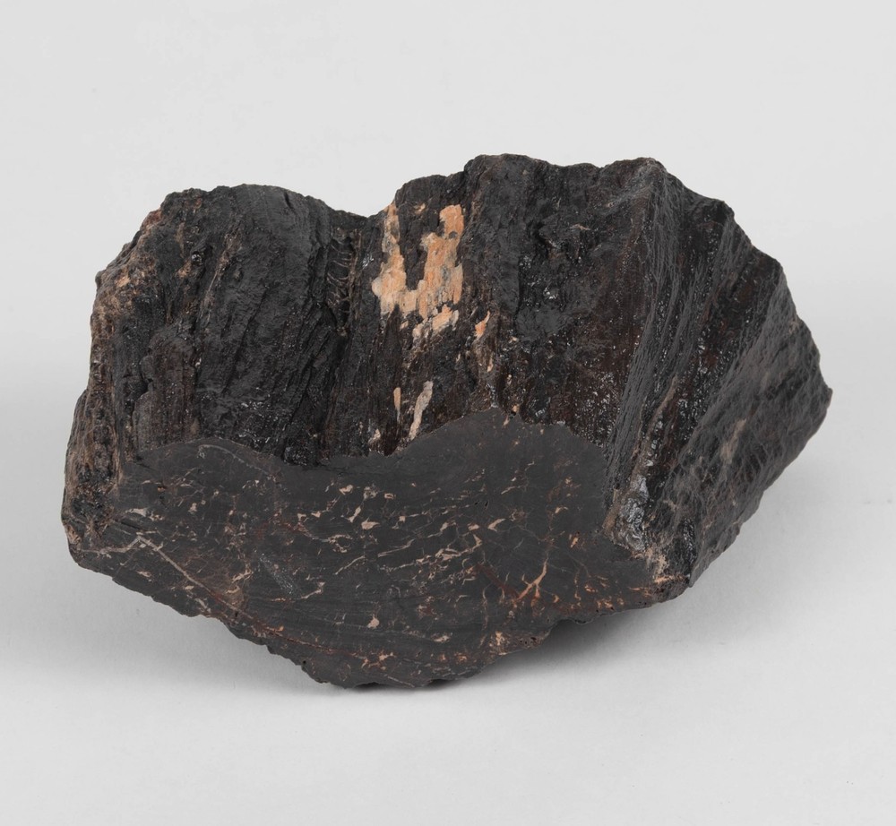 Black Petrified Wood, 1608 grams Lacquered