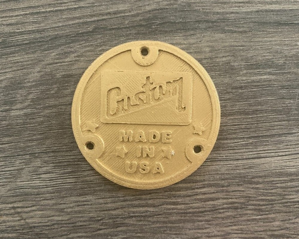 Custom Les Paul Single Cut Electric Guitar Toggle Switch Back Cover