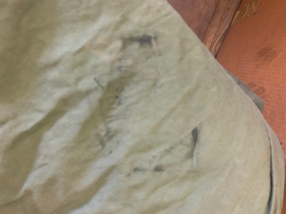 Mountain Sleeping Bag Cover (used-fair)