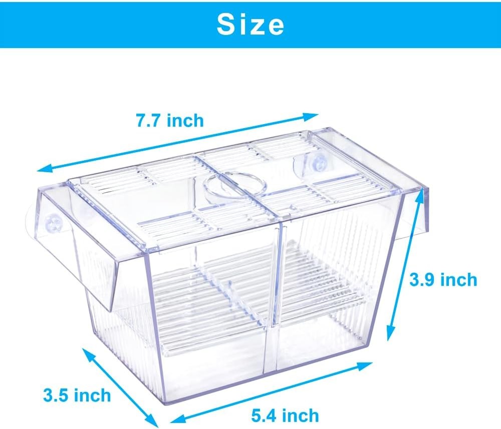 Transparent Fish Breeding Isolation Box
