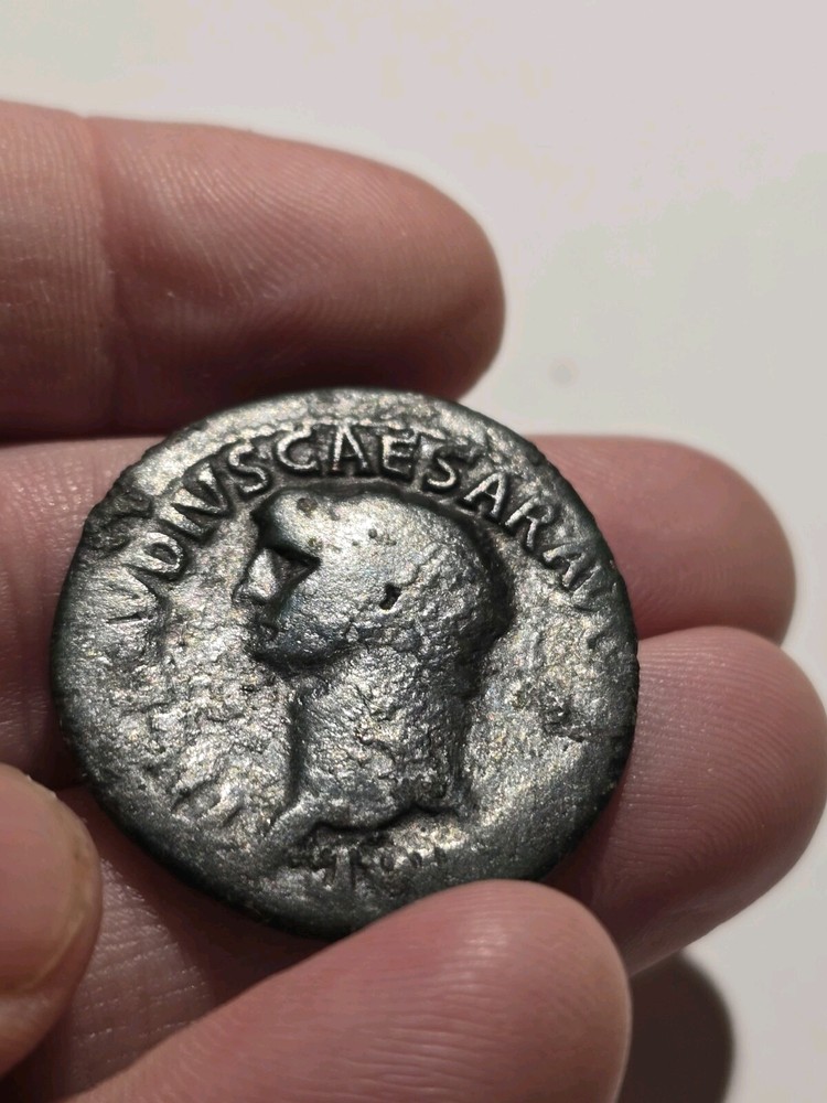 Claudius AE As, Libertas