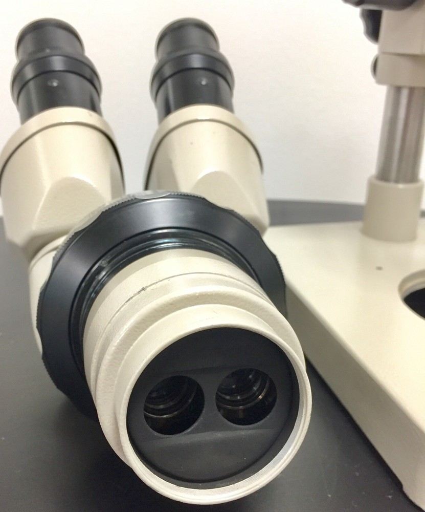 Nikon SMZ-2 Stereo Zoom Microscope 8X-40X