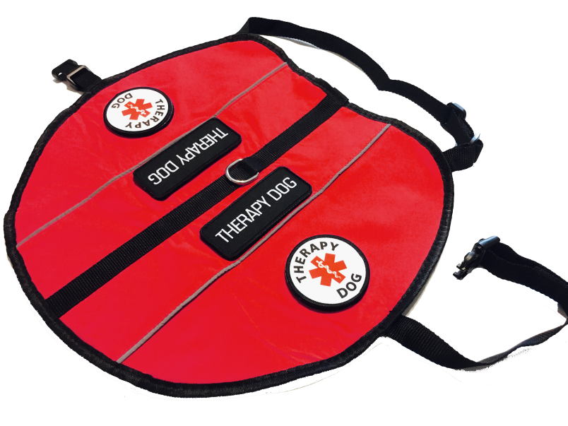 Service Dog - Support Dog - Therapy Dog Harness K9 Pocket Vest ALL ACCESS CANINE