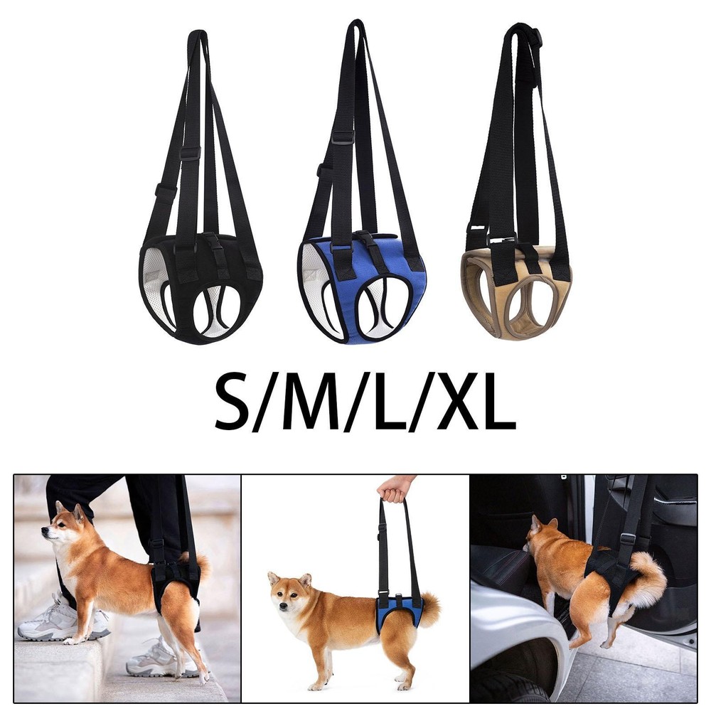 Pet Mobility Support Harness for Aging Dogs
